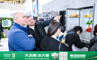 惊艳AWE！容声大冰象，把“仓储级冷冻室”搬进普通家庭