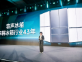 容声发布世界杯定制款冰箱 “大冰象”精准适配中式创新需求